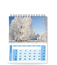 Calendario Personalizado Mediano - Tamaño Carta