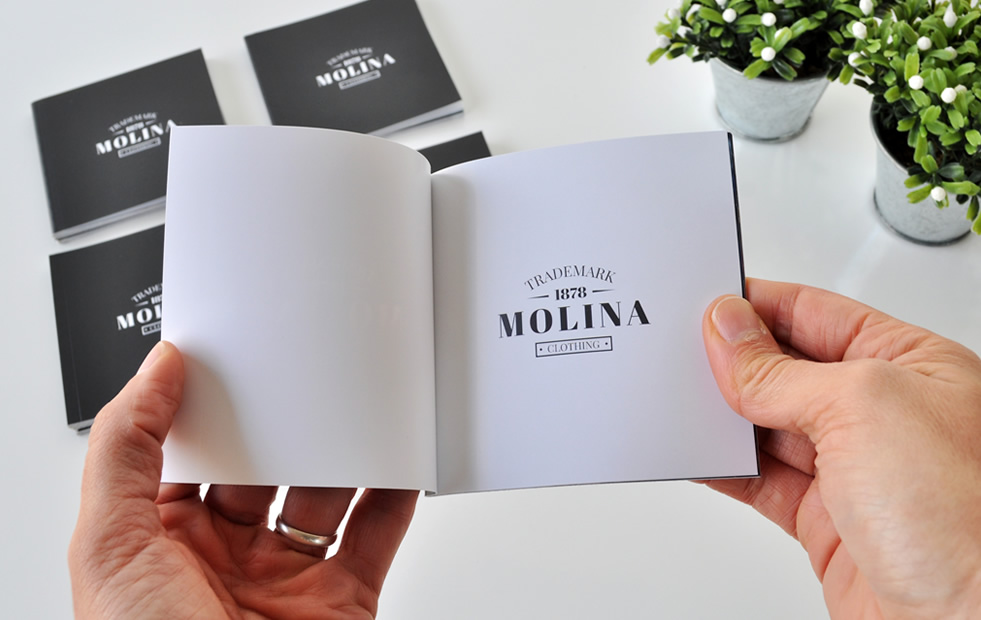 impresin de mini catlogos