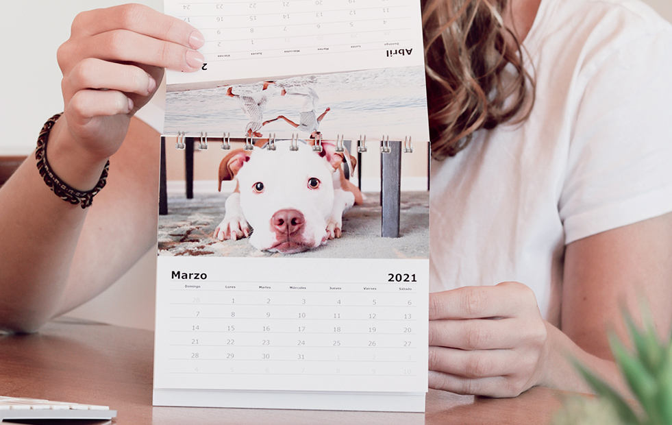 ideas para regalar en navidad y fin de ao